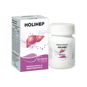 Alternative view of HOLIHEP